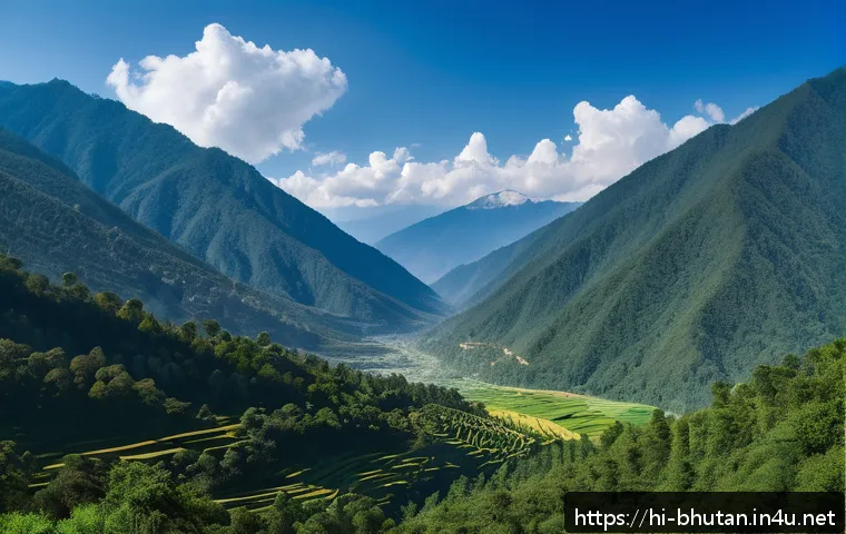 부탄 환경 정책 - A panoramic view of Bhutan&rsquo;s lush Himalayan forest covering over 70% of the landscape, showcasing de...